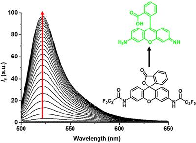 Protein Encapsulation: A Nanocarrier Approach to the Fluorescence Imaging of an Enzyme-Based Biomarker